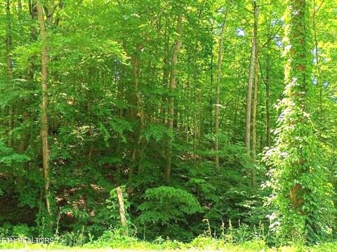 Tiny photo for 9025 Conner Rd, Powell, TN 37849 (MLS # 1340540)