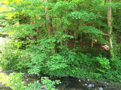 Tiny photo for 9025 Conner Rd, Powell, TN 37849 (MLS # 1340540)