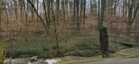 Tiny photo for 9025 Conner Rd, Powell, TN 37849 (MLS # 1340540)