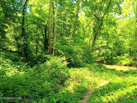 Tiny photo for 9025 Conner Rd, Powell, TN 37849 (MLS # 1340540)