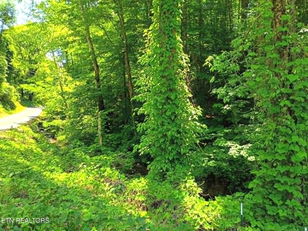 Photo of 9025 Conner Rd, Powell, TN 37849 (MLS # 1340540)