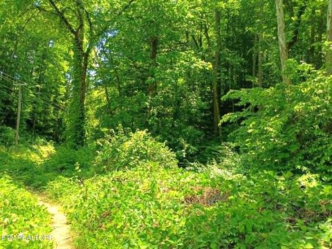 Tiny photo for 9025 Conner Rd, Powell, TN 37849 (MLS # 1340540)