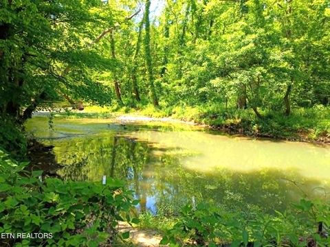 Tiny photo for 9025 Conner Rd, Powell, TN 37849 (MLS # 1340540)
