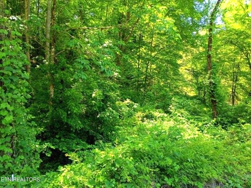 Photo of 9025 Conner Rd, Powell, TN 37849 (MLS # 1340540)