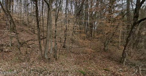 Tiny photo for 9025 Conner Rd, Powell, TN 37849 (MLS # 1340540)
