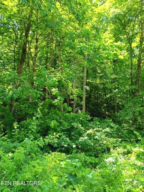 Tiny photo for 9025 Conner Rd, Powell, TN 37849 (MLS # 1340540)