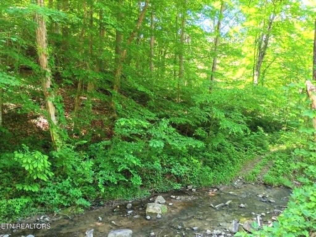 Photo of 9025 Conner Rd, Powell, TN 37849 (MLS # 1340540)