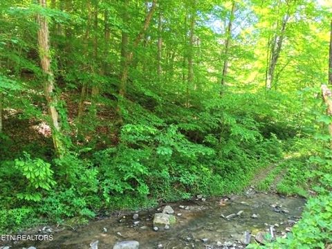 Photo of 9025 Conner Rd, Powell, TN 37849 (MLS # 1340540)