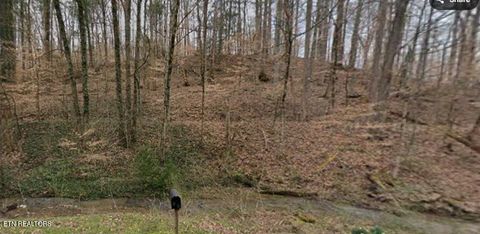Tiny photo for 9025 Conner Rd, Powell, TN 37849 (MLS # 1340540)