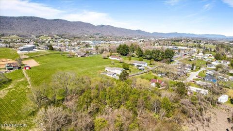 Tiny photo for Island Ford Rd, Jacksboro, TN 37757 (MLS # 1334124)