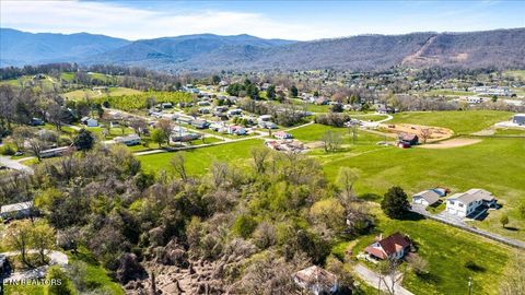 Tiny photo for Island Ford Rd, Jacksboro, TN 37757 (MLS # 1334124)