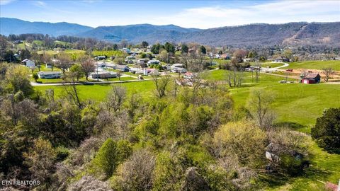 Tiny photo for Island Ford Rd, Jacksboro, TN 37757 (MLS # 1334124)