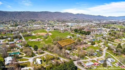 Tiny photo for Island Ford Rd, Jacksboro, TN 37757 (MLS # 1334124)
