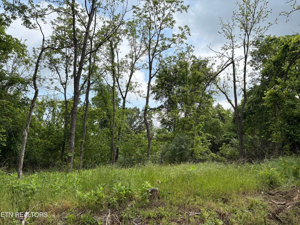 Photo of Grubb Rd, Lenoir City, TN 37771 (MLS # 1300622)