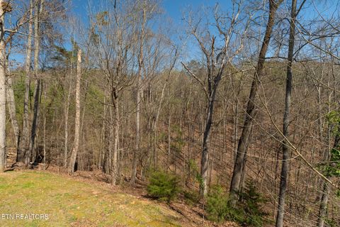 Tiny photo for 12624 Red Fox Drive, Knoxville, TN 37922 (MLS # 1334207)