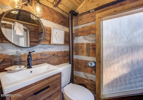 Tiny photo for 125 Cricket Hollow Way, Cosby, TN 37722 (MLS # 1337054)