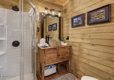 Tiny photo for 125 Cricket Hollow Way, Cosby, TN 37722 (MLS # 1337054)