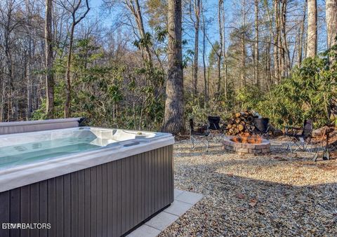 Tiny photo for 125 Cricket Hollow Way, Cosby, TN 37722 (MLS # 1337054)