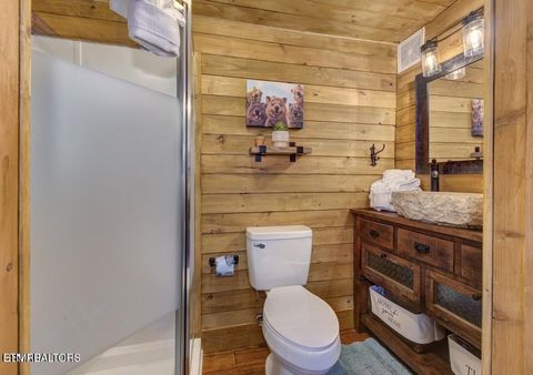 Tiny photo for 125 Cricket Hollow Way, Cosby, TN 37722 (MLS # 1337054)