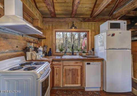 Tiny photo for 125 Cricket Hollow Way, Cosby, TN 37722 (MLS # 1337054)