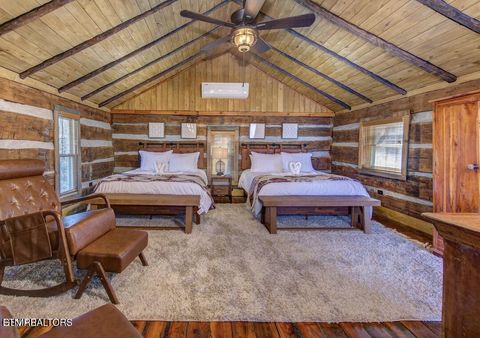 Tiny photo for 125 Cricket Hollow Way, Cosby, TN 37722 (MLS # 1337054)