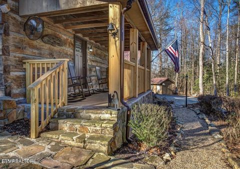 Tiny photo for 125 Cricket Hollow Way, Cosby, TN 37722 (MLS # 1337054)