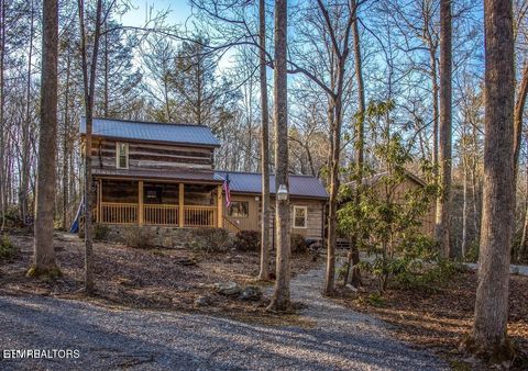 Tiny photo for 125 Cricket Hollow Way, Cosby, TN 37722 (MLS # 1337054)