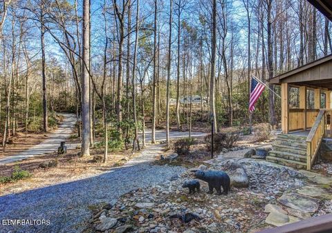 Tiny photo for 125 Cricket Hollow Way, Cosby, TN 37722 (MLS # 1337054)