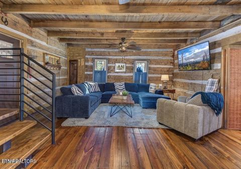 Tiny photo for 125 Cricket Hollow Way, Cosby, TN 37722 (MLS # 1337054)