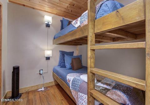 Tiny photo for 125 Cricket Hollow Way, Cosby, TN 37722 (MLS # 1337054)