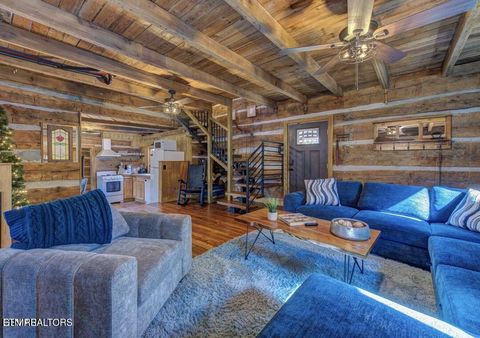 Tiny photo for 125 Cricket Hollow Way, Cosby, TN 37722 (MLS # 1337054)