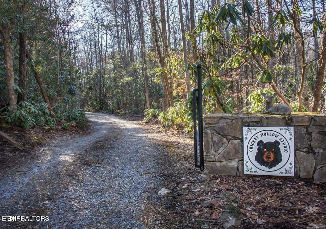 125 Cricket Hollow Way