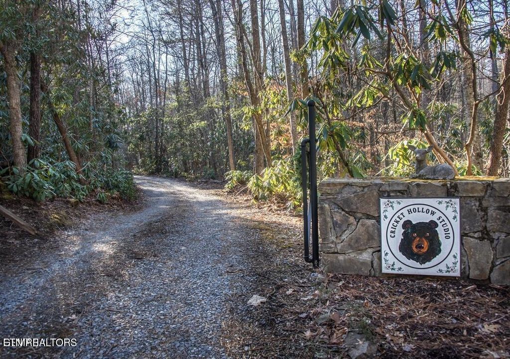 Photo of 125 Cricket Hollow Way, Cosby, TN 37722 (MLS # 1337054)