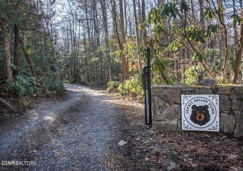 Tiny photo for 125 Cricket Hollow Way, Cosby, TN 37722 (MLS # 1337054)