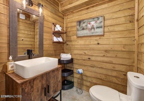 Tiny photo for 125 Cricket Hollow Way, Cosby, TN 37722 (MLS # 1337054)