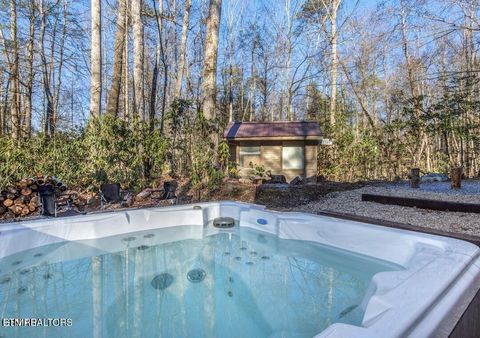 Tiny photo for 125 Cricket Hollow Way, Cosby, TN 37722 (MLS # 1337054)