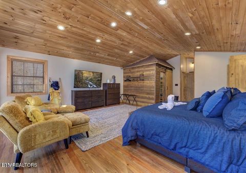 Tiny photo for 125 Cricket Hollow Way, Cosby, TN 37722 (MLS # 1337054)