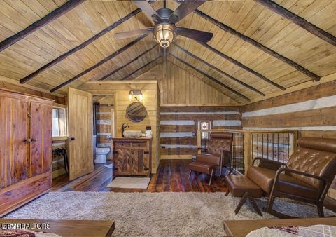 Tiny photo for 125 Cricket Hollow Way, Cosby, TN 37722 (MLS # 1337054)