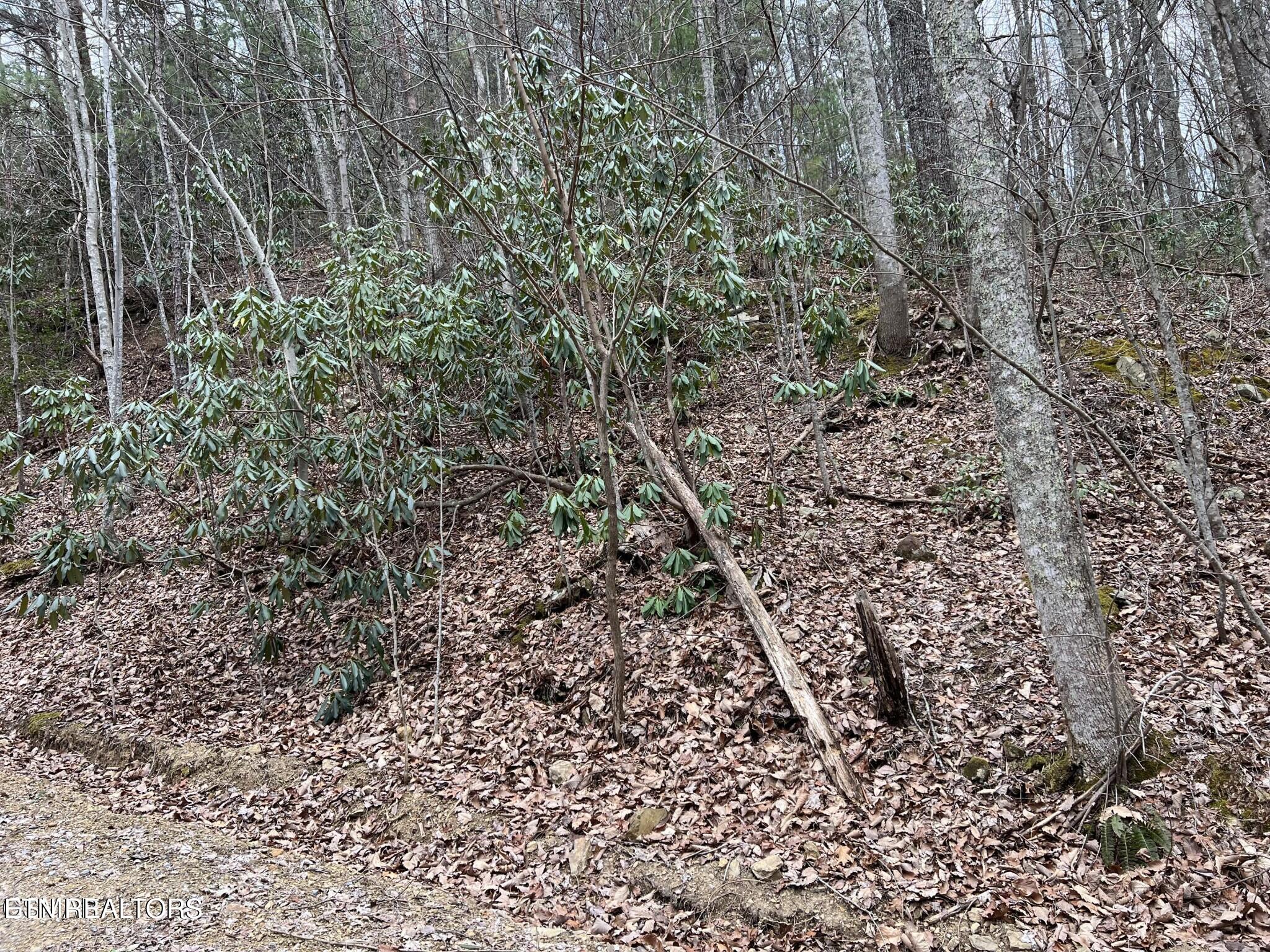 John Sevier Drive 10