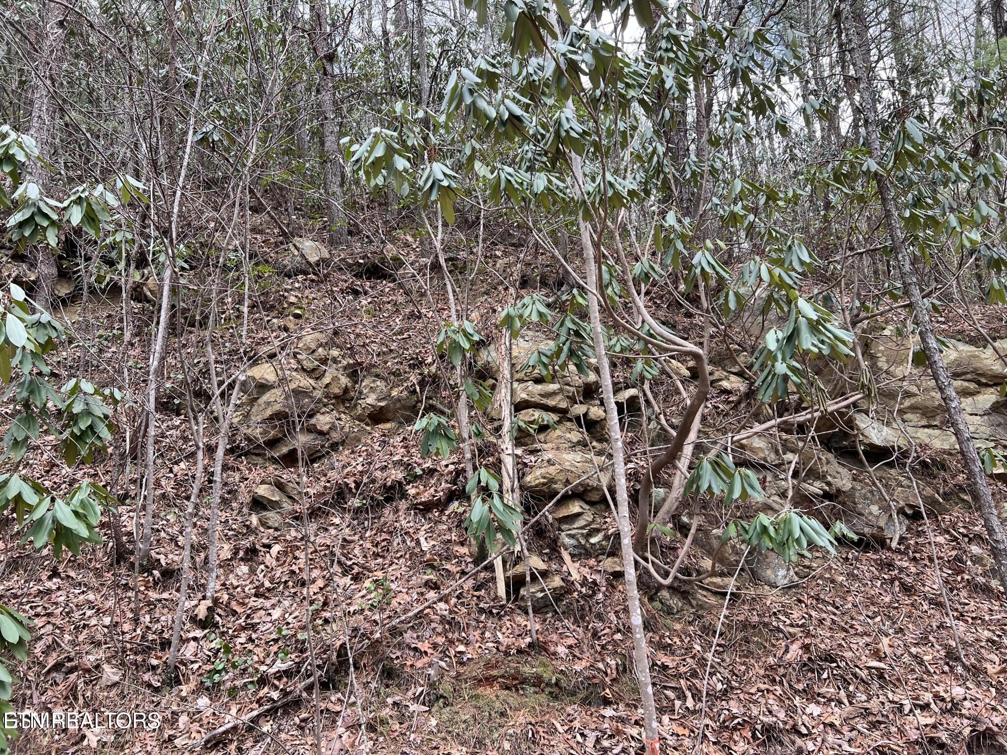 John Sevier Drive 10