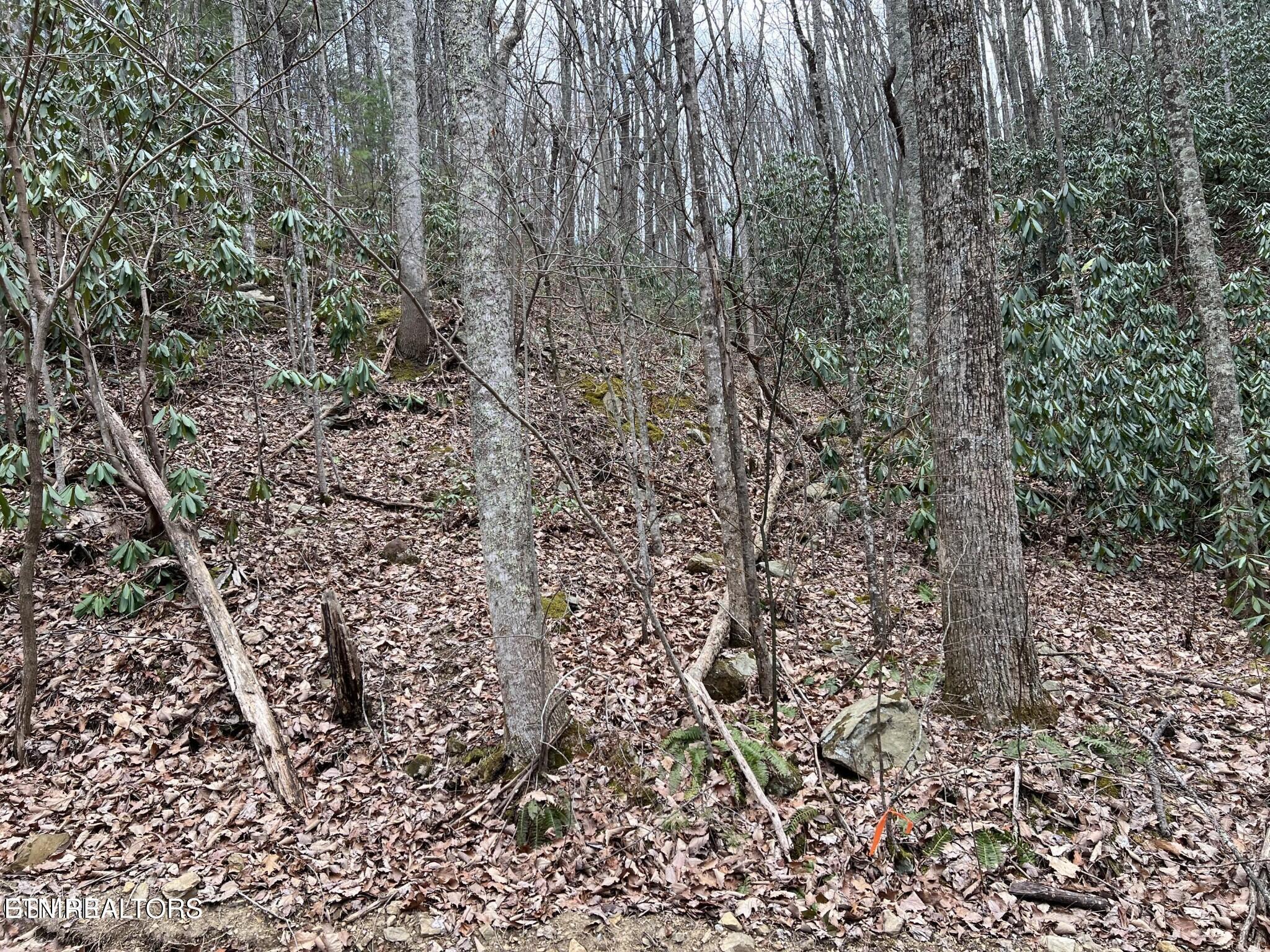 John Sevier Drive 10
