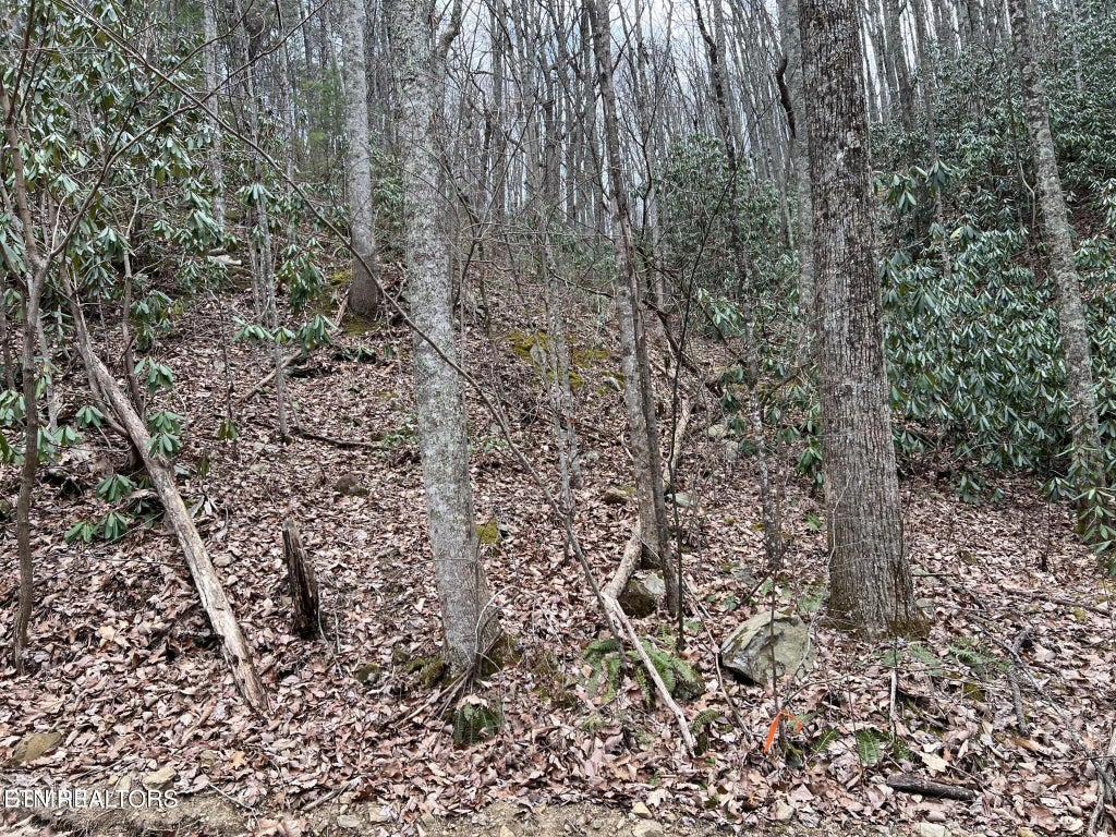 Photo of John Sevier Drive #10, Sevierville, TN 37876 (MLS # 1358625)