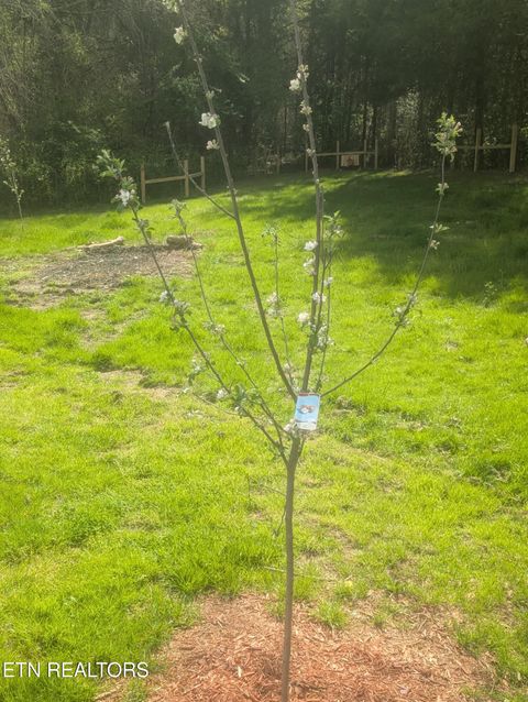 Tiny photo for 1700 W Brushy Valley Drive, Powell, TN 37849 (MLS # 1334705)