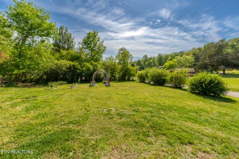 Tiny photo for 1700 W Brushy Valley Drive, Powell, TN 37849 (MLS # 1334705)