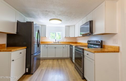 Tiny photo for 1700 W Brushy Valley Drive, Powell, TN 37849 (MLS # 1334705)