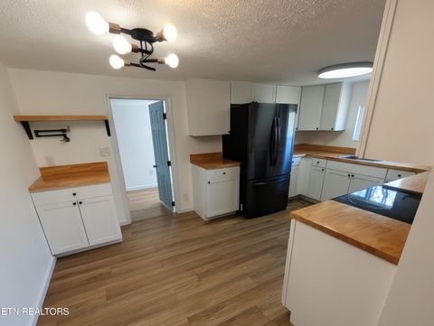 Tiny photo for 1700 W Brushy Valley Drive, Powell, TN 37849 (MLS # 1334705)