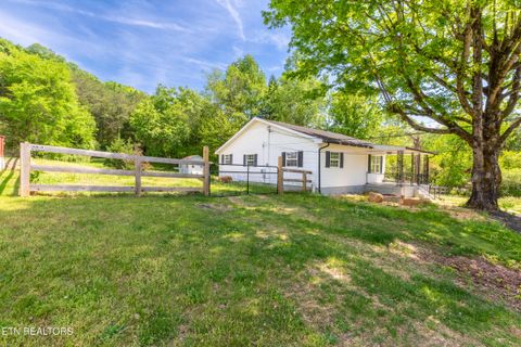 Tiny photo for 1700 W Brushy Valley Drive, Powell, TN 37849 (MLS # 1334705)