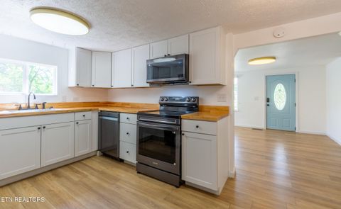Tiny photo for 1700 W Brushy Valley Drive, Powell, TN 37849 (MLS # 1334705)