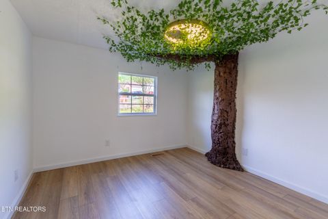 Tiny photo for 1700 W Brushy Valley Drive, Powell, TN 37849 (MLS # 1334705)