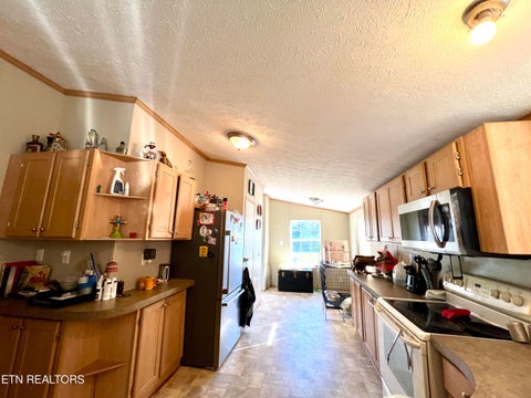 Tiny photo for 1228 Evans Valley Rd, Newport, TN 37821 (MLS # 1347279)